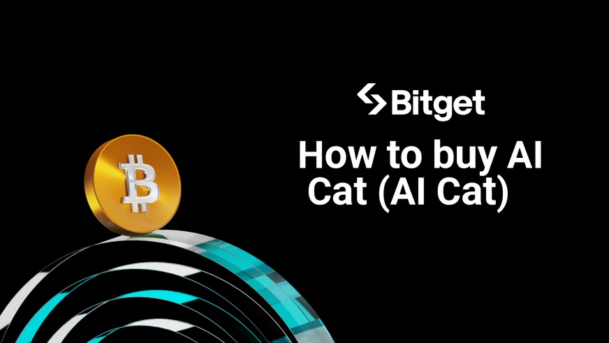 How to buy AI Cat